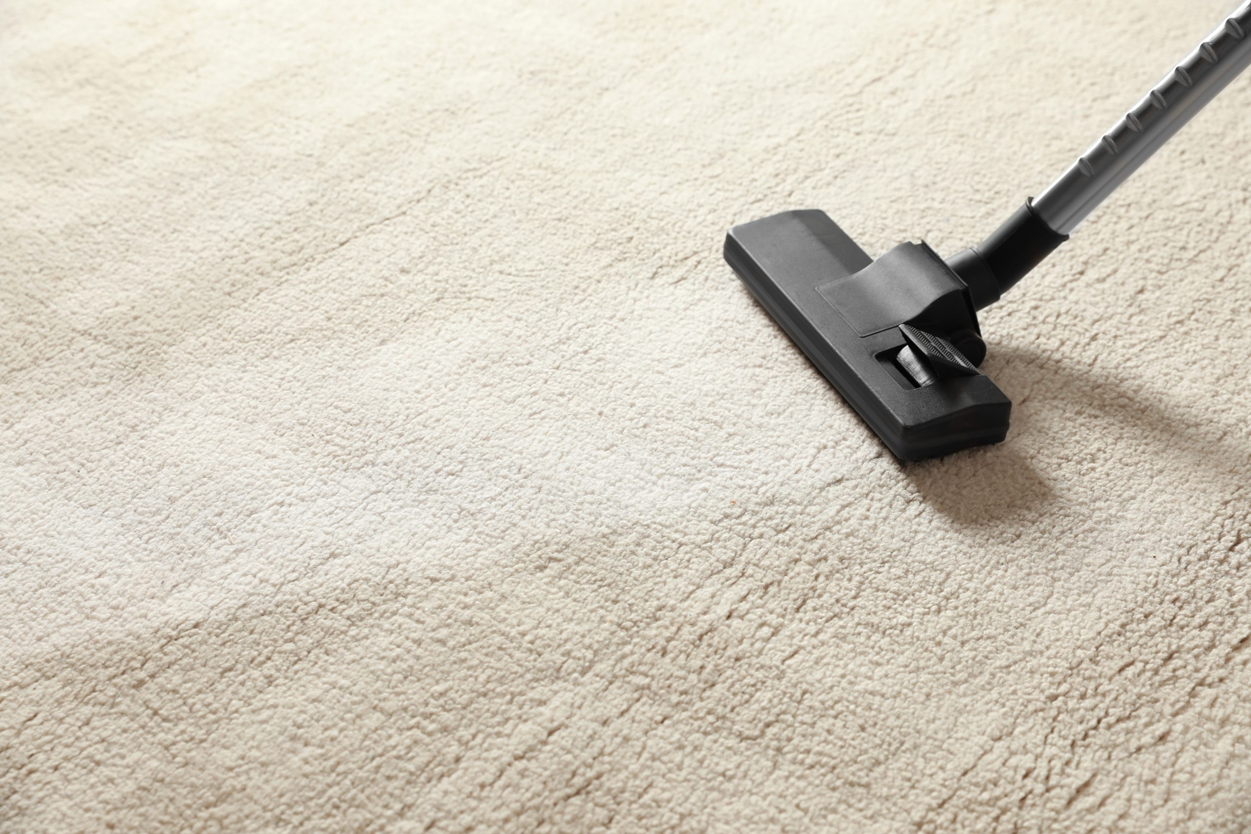 Cleaning Carpet